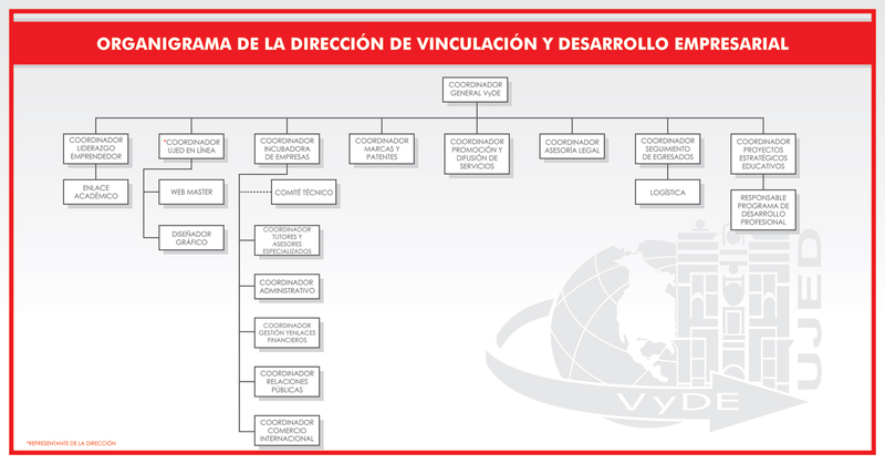 Organigrama VyDE